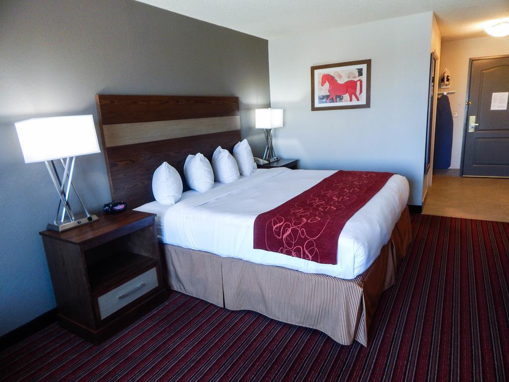 Country Inn & Suites By Radisson, Dfw Airport South, Tx Irving Εξωτερικό φωτογραφία